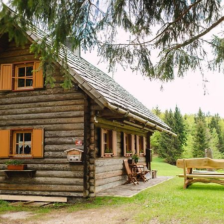 Wood House Irena-Pocitniska Hisa Villa Bohinj Exterior foto